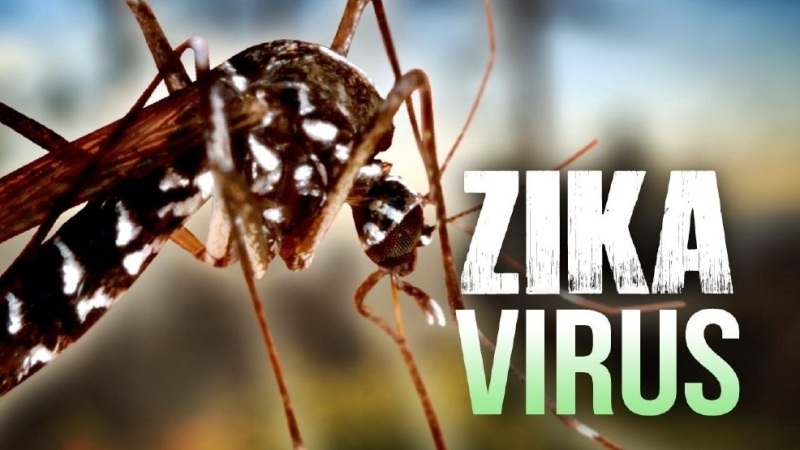 TP.HCM công bố dịch Zika