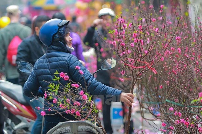 Đề xuất nghỉ Tết Đinh Dậu chỉ 7 ngày