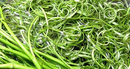 Nguy cơ giun sán từ món rau hầu hết người Việt đều thích