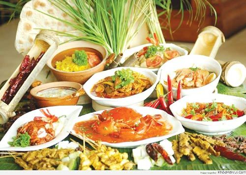 Món ngon mỗi ngày