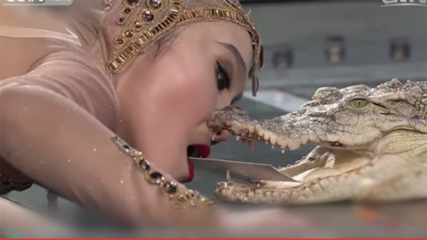 Cô gái xinh đẹp hôn hàm cá sấu khiến người xem đứng tim