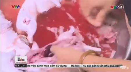 Đáng sợ: Thu gom giết mổ chuột bẩn làm thực phẩm ở Hà Nội