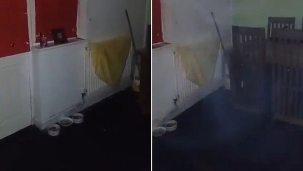 Quay video trong nhà bếp, người phụ nữ hét lên sợ hãi