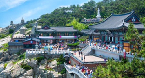 Vì sao Busan, Cao Hùng, Đài Bắc mùa này đông khách?
