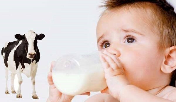 Tác hại khi dùng sữa công thức sai cách