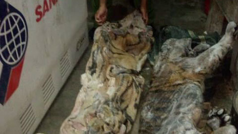 Thanh niên giấu xác hổ 37kg trong nhà bà hàng xóm