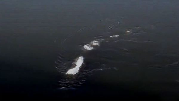 Quái vật Loch Ness xuất hiện ở Alaska?