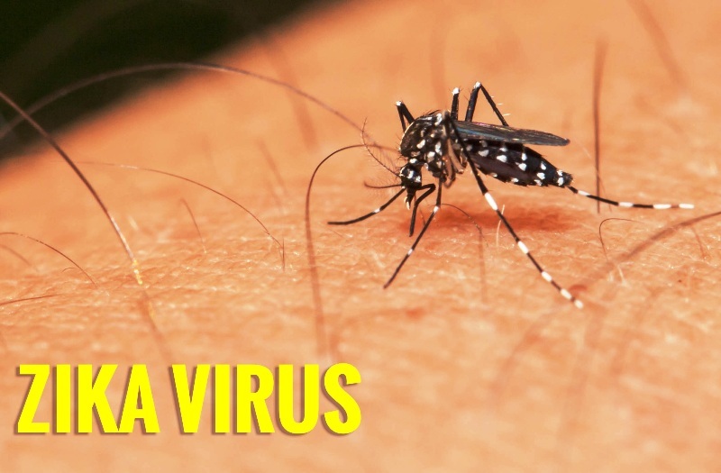 17 người ở Sài Gòn nhiễm virus Zika