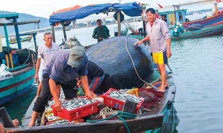 Phó Thủ tướng: Cuối năm đền bù xong sự cố Formosa