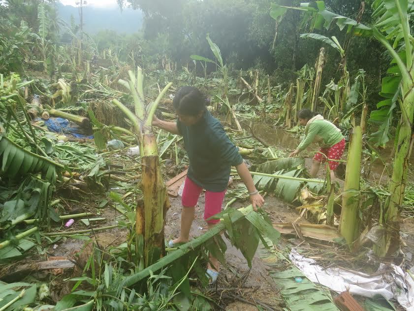 Xác xơ sau lũ, Phú Yên 'cầu cứu' Thủ tướng