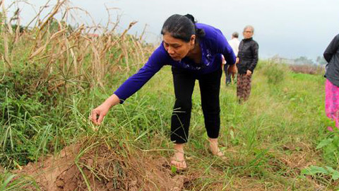 Hà Nội: Ngã bổ chửng vì nghĩa trang mọc sát nách