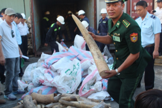 Hà Nội: Thiêu đốt hơn 70 kg sừng tê giác