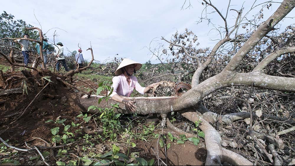 “Phải cung cấp thông tin về Long Sơn nếu Bộ CA yêu cầu”