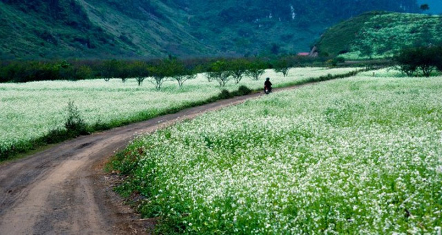 Những điểm đến không thể bỏ qua