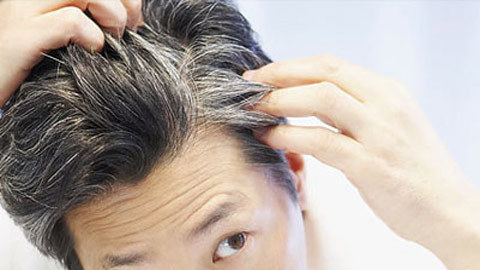 Món ăn - Thuốc ngăn ngừa bạc tóc