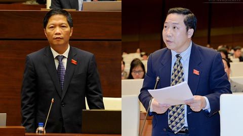 Clip đại biểu QH