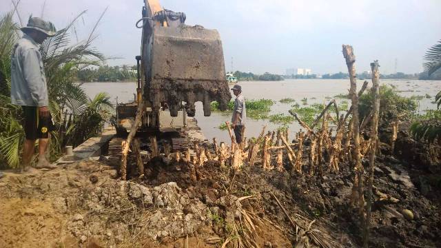 Vỡ bờ bao, dân ngoại thành Sài Gòn thiệt hại cả tỉ đồng