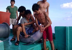Xác định được nhóm ngư dân chặt đầu, mổ bụng cá heo