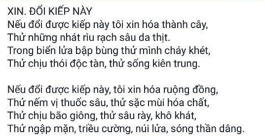 Bài thơ của nữ sinh lớp 8 khiến dân mạng lặng người