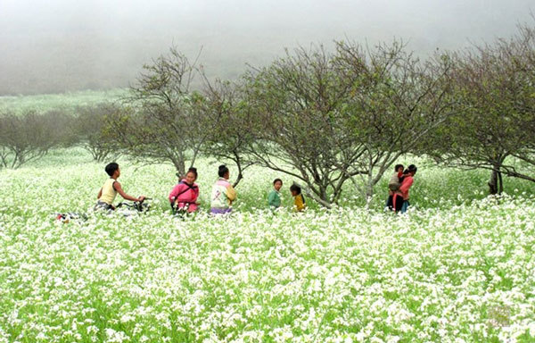 Hương sắc vùng cao tại Hà Nội