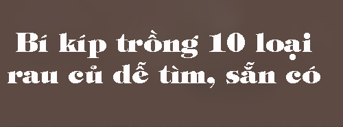 10 loại rau củ trồng từ gốc bỏ đi, lớn nhanh vùn vụt, ăn cả năm chả hết