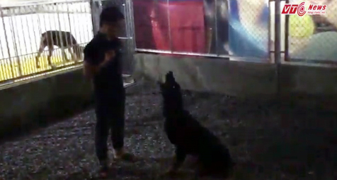 Chàng trai Hà Thành sở hữu trang trại chó Doberman tiền tỷ