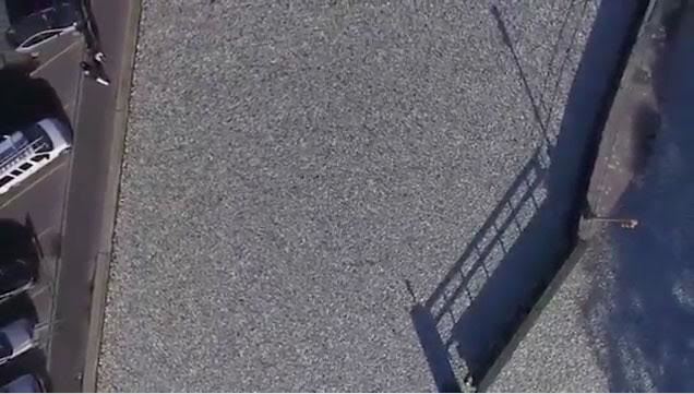 Video hàng vạn con cá chết phủ kín mặt nước