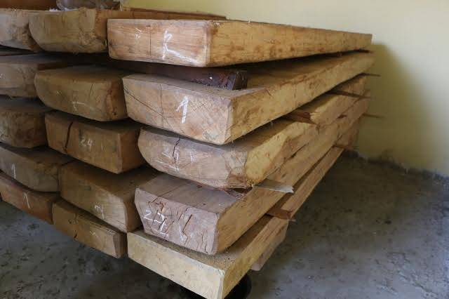 Quảng Bình: Giám đốc sở trữ gỗ lậu ở cơ quan