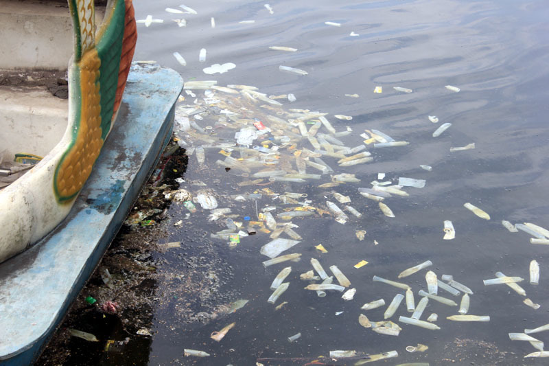 Hà Nội: Bao cao su nổi trắng hồ Linh Đàm