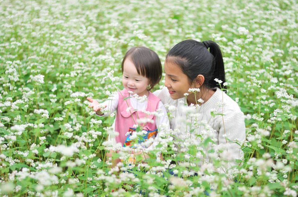 'Quên lối về' giữa thung lũng tam giác mạch trắng ở xứ Lạng