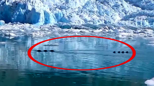 Phát hiện quái vật rồng khổng lồ trên sông băng?