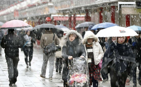 Tokyo hứng tuyết rơi tháng 11 lần đầu trong 54 năm