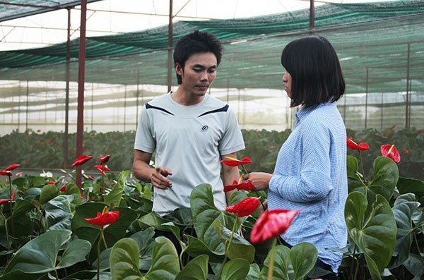 Từ chối làm tiến sỹ, làm nông dân thu 30 triệu/ngày