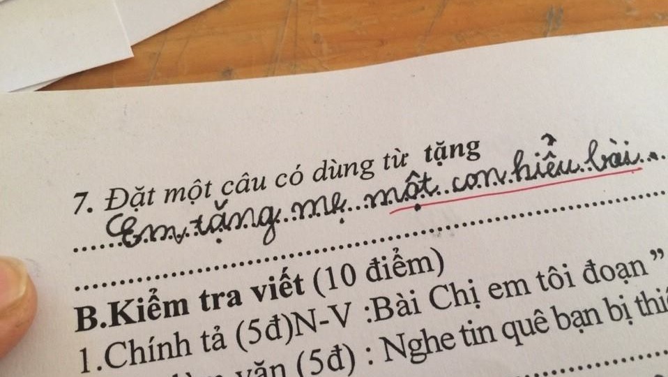 Học sinh đặt câu “Em tặng mẹ một con hiểu bài” khiến dân mạng đứng hình