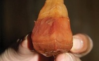 Loài quả Viagra khiến đàn ông 'khỏe như voi'
