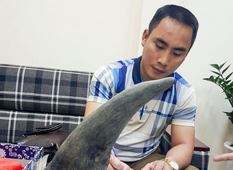 Bóc trần thủ đoạn tinh quái của dân buôn bán sừng tê, ngà voi