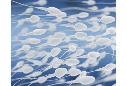 Đặt máy tính trên đầu gối lướt web có thể giảm tinh binh