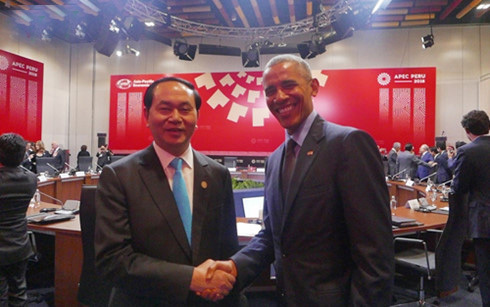 Chủ tịch Nước gặp hàng loạt lãnh đạo APEC