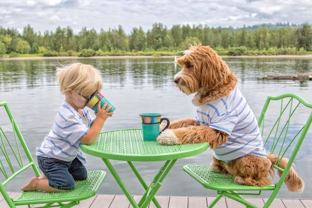 Tình bạn của bé và 'bạn bốn chân' gây nức lòng dân mạng