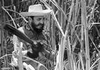 Nhớ lần chặt mía cùng lãnh tụ Fidel Castro