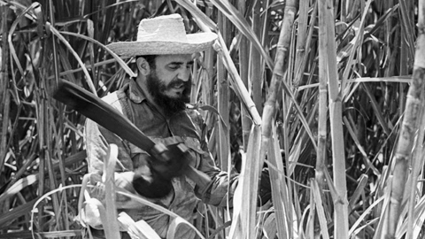 Nhớ lần chặt mía cùng lãnh tụ Fidel Castro