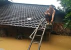 Chủ quan, mưa lũ miền Trung làm 65 người chết, mất tích