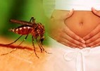 Khi nào thì thai phụ nên tầm soát Zika?
