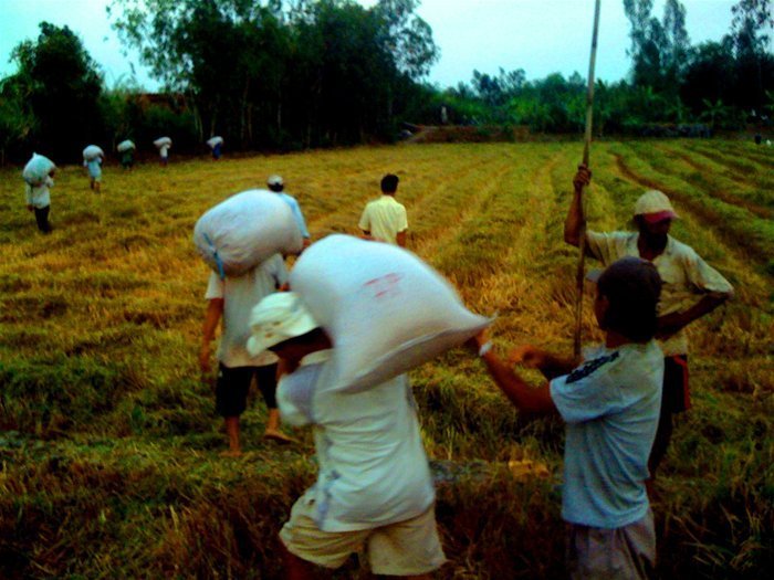 Khăn gói sang láng giềng học hỏi