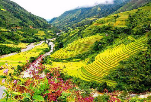 Đà Lạt, Sapa lọt top 10 điểm đến hấp dẫn nhất châu Á 2017