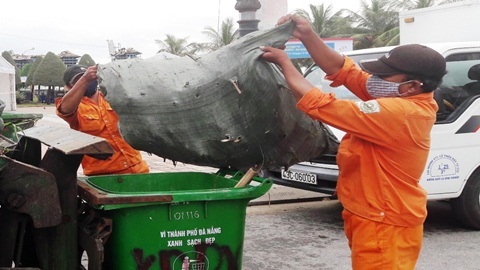 Đà Nẵng: Trẻ sơ sinh 'bỏ quên' trong thùng rác ở bãi biển