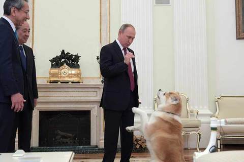 Xem Tổng thống Nga trổ tài vỗ về cún cưng