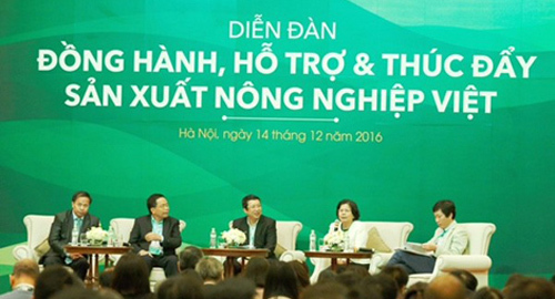 250 HTX cung ứng nông sản sạch cho VinEco