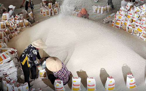 Xuất khẩu gạo giảm kỷ lục trong vòng 10 năm qua