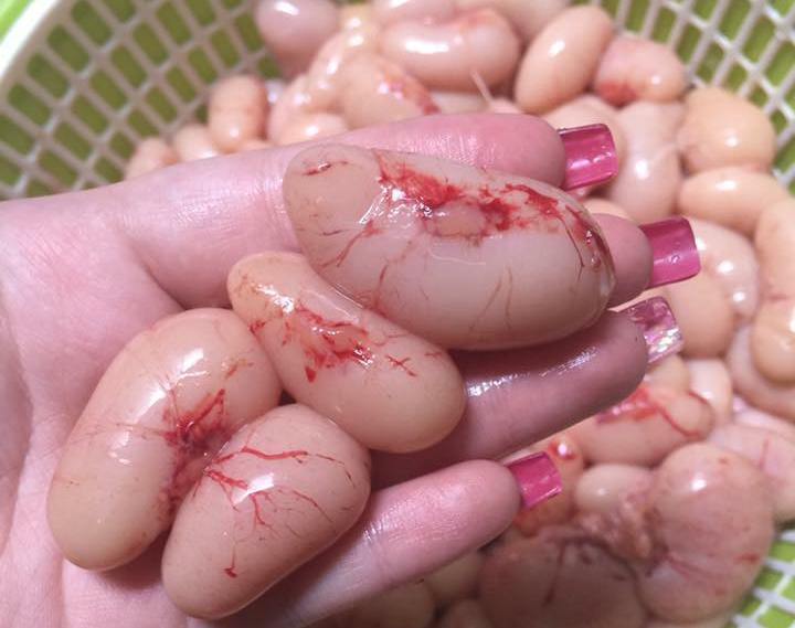 Nguồn gốc bí ẩn 'thần dược' ngọc kê bán tràn Hà Nội